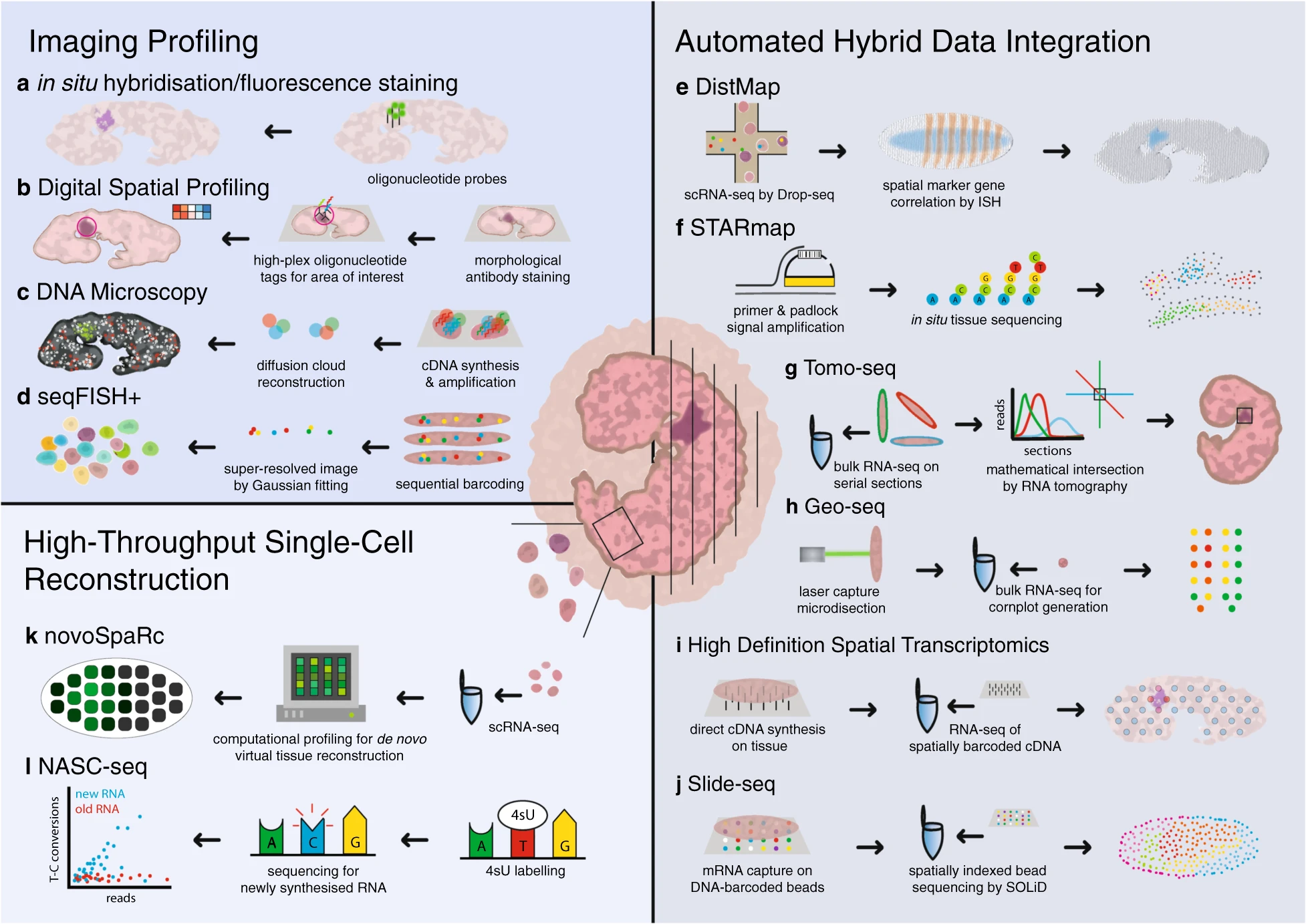 A graphic showing many spatial transcriptomics methods including seqFISH, Slide-Seq, and STARmap.