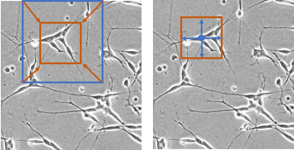 Images showing the difference between anchor-based and anchor-free deep learning models.