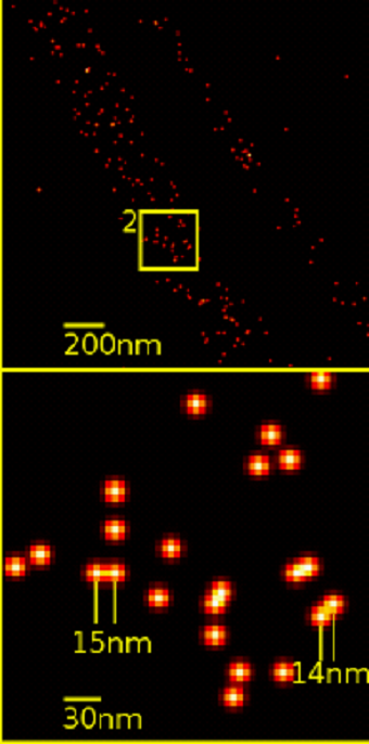 Single yellow fluorescent protein (YFP) molecules.