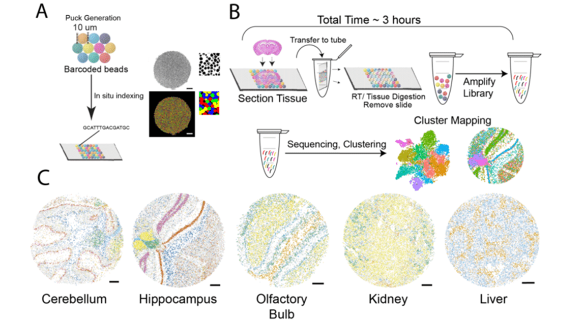 Putting the Pieces Together: Spatial Transcriptomics Methods and Multi-omic Integration