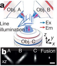 Triple Threat: AI-assisted Multiview Confocal Imaging