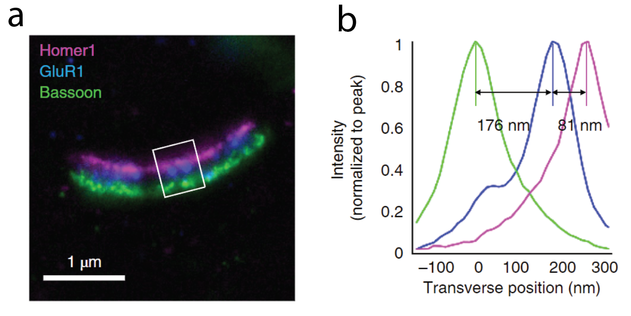 Cheating the Diffraction Limit with Expansion Microscopy