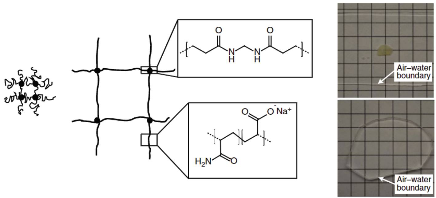 Cheating the Diffraction Limit with Expansion Microscopy