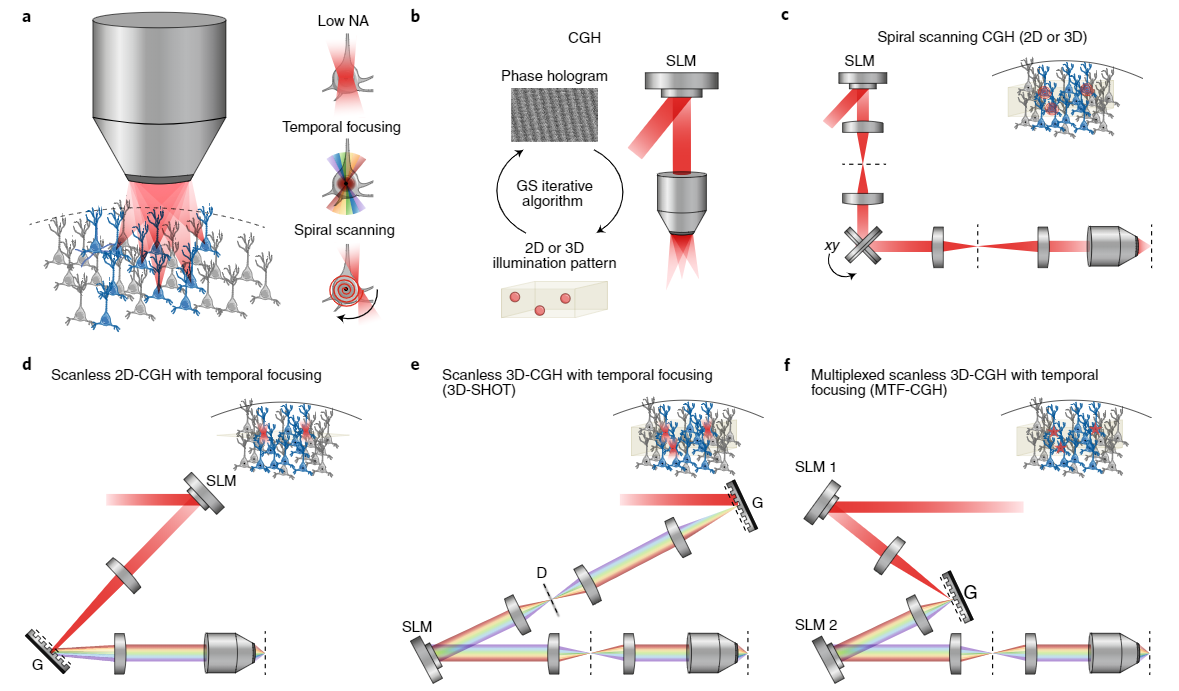 Optical strategies for holographic optogenetics.