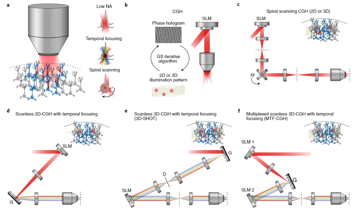 Playing the brain's music back to itself with holographic optogenetics