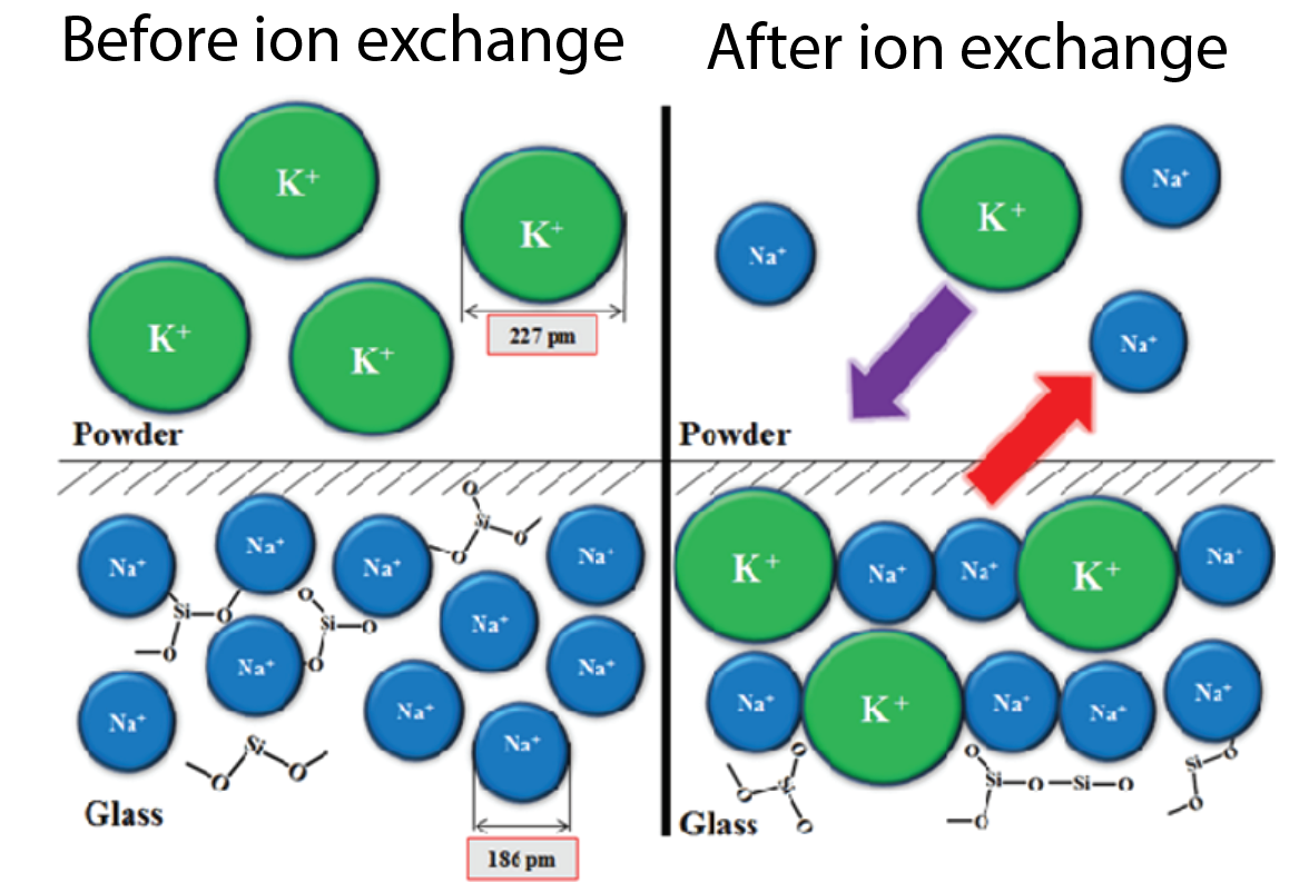 a diagram of sodium potassium ion exchange in glass