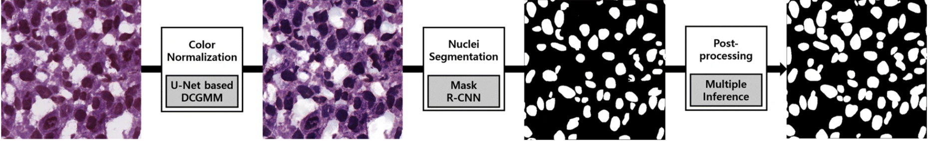  instance segmentation of nuclei from H&E stain