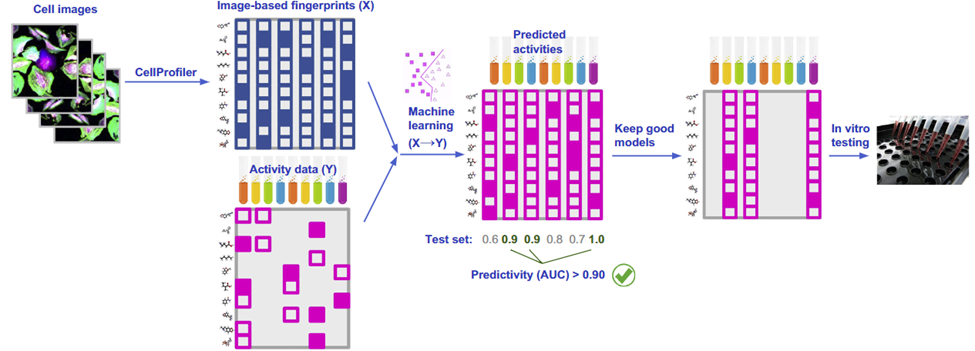 Seeing is believing: How image-based profiling is revolutionizing the process of drug discovery