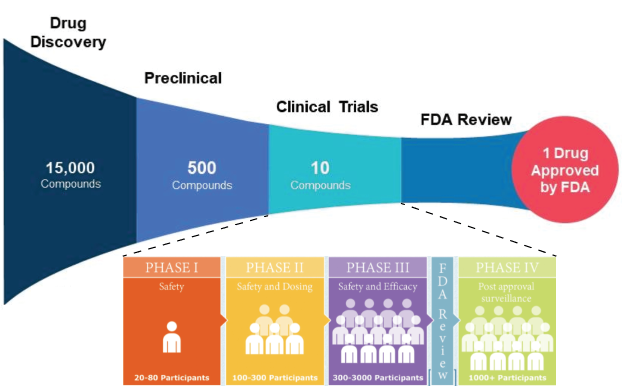 a flow chart showing the quantity of drugs that make it through stages of drug discovery