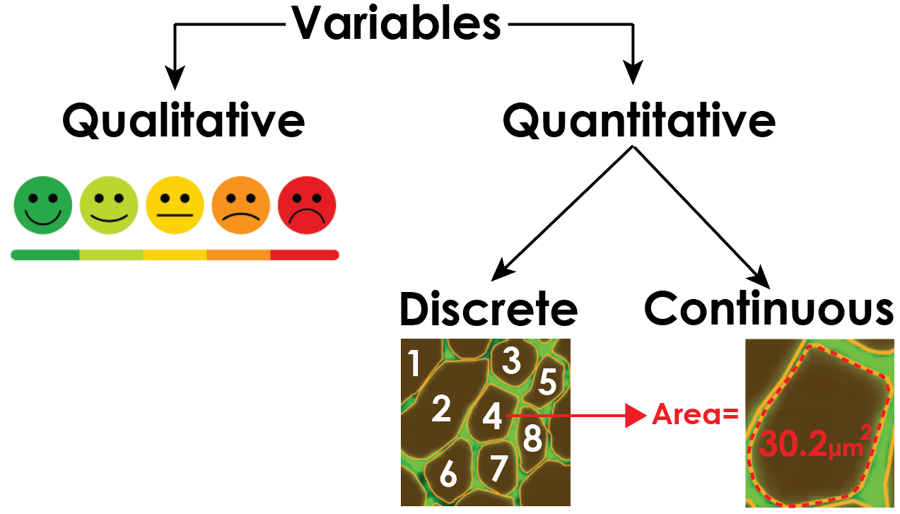 A Superficial Overview of Statistical Methods for Scientific Research