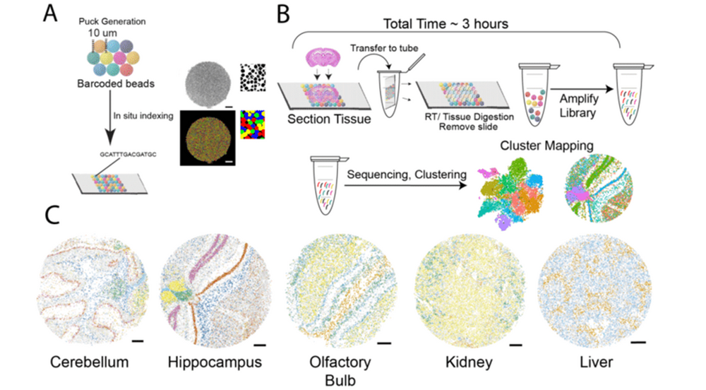 Spatial Transcriptomics Methods And Multi-omic Integration