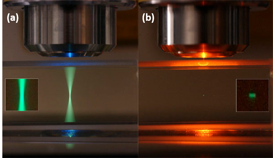 One vs two-photon microscopy: Why have one when you can have two?