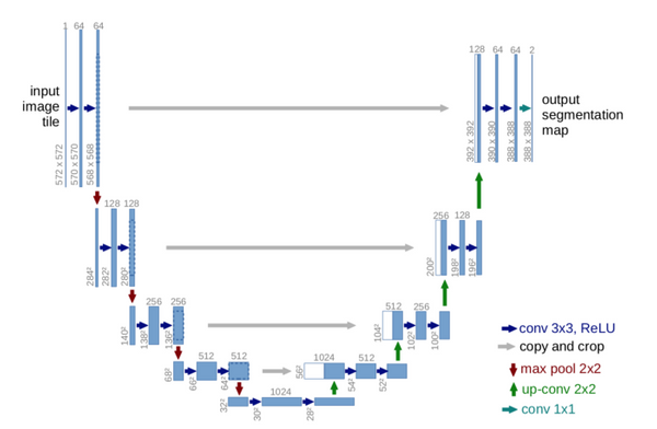 The Definitive Guide to Cell Segmentation Analysis